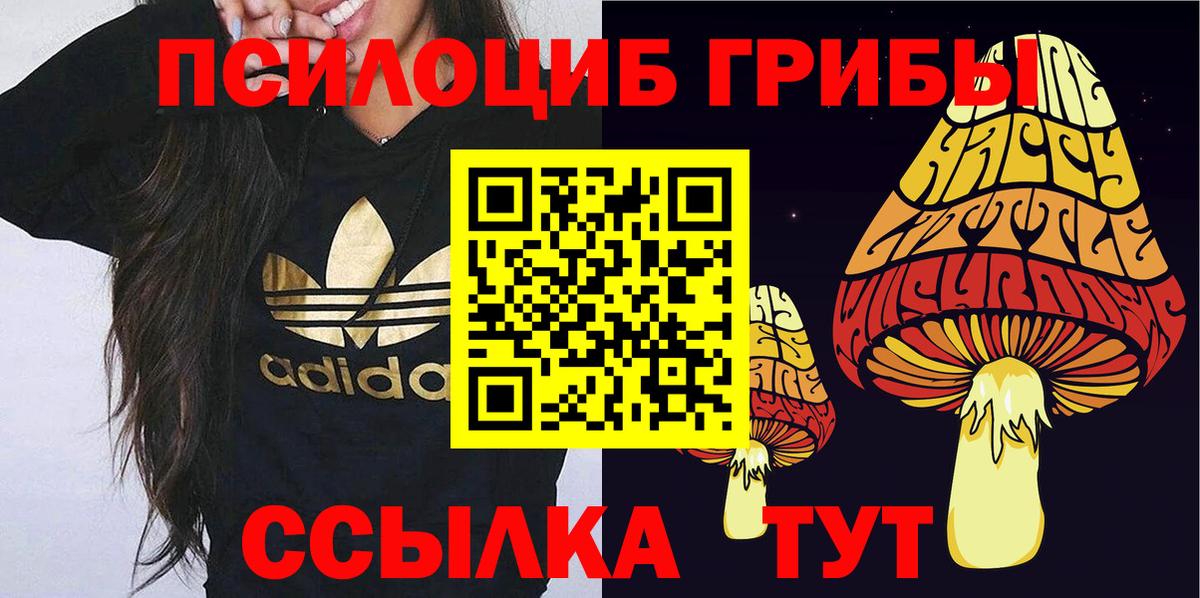 Павловский Посад  купить наркоту  Вход с VPN  Галлюциногенные грибы Psilocybine cubensis  Галлюциногенные грибы ЛСД 
